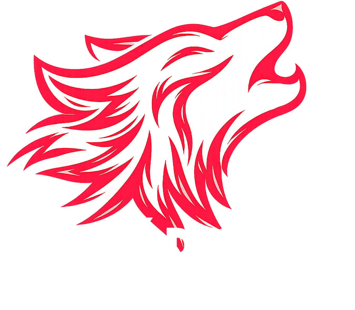 Comité des Fêtes Pindray